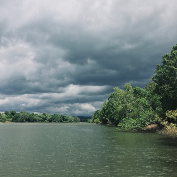 Meet your Posher, Tara - Picture 2 of 2